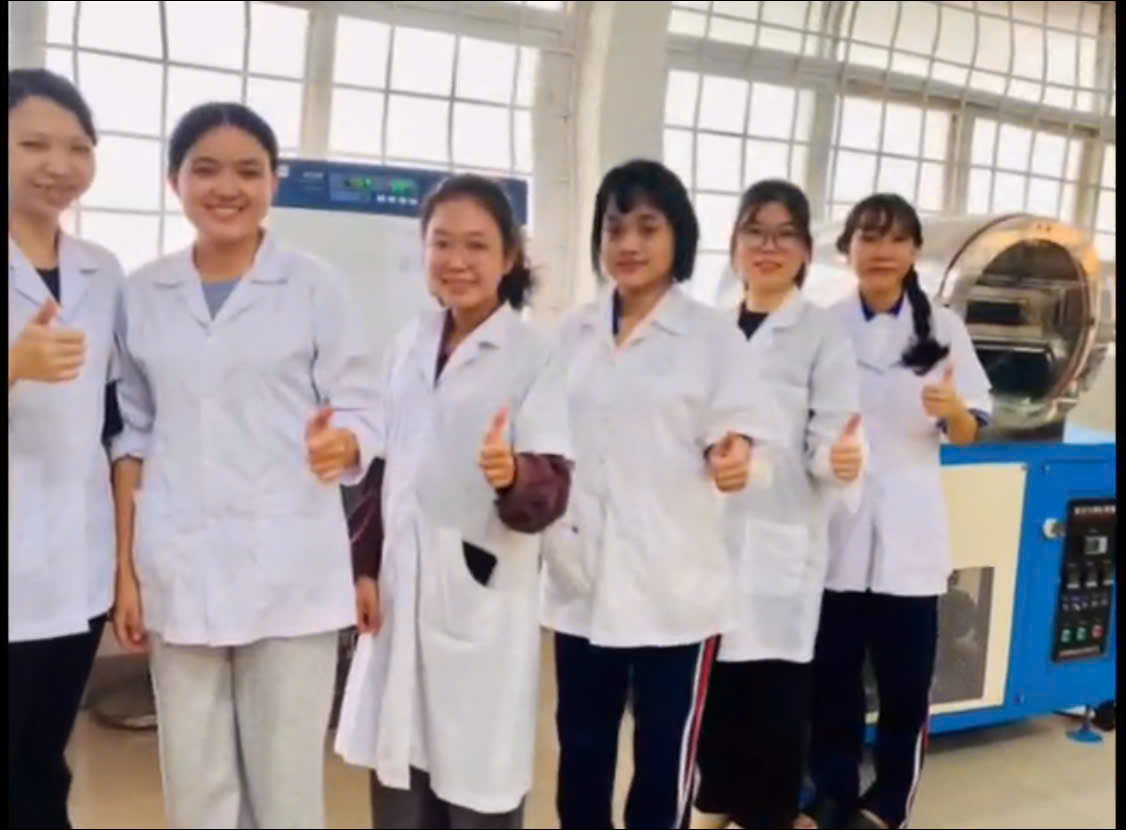 Liveron Tea: Giải pháp vàng cho lá gan và tầm vóc dược liệu Việt