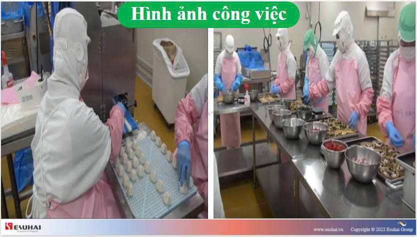 Cần gấp 12 nam, 12 nữ làm trong ngành Chế biến thực phẩm tại ...